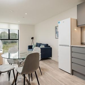 Appartement à 1 Chambre à Coucher