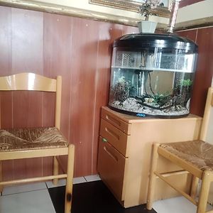 Chambre Lit King-Size
