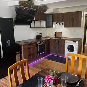 Appartement Moderne Et Chaleureux