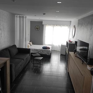 Appartement Studio