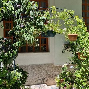 Garden Guest House