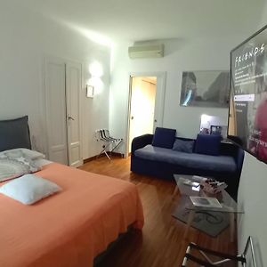 Suite Junior