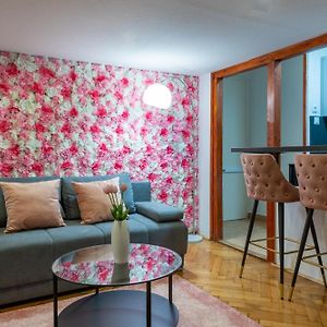 Rose Garden Apartment