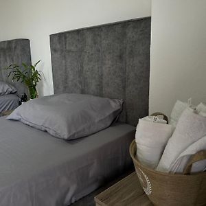 Hostel By Fenix Tirana