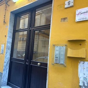 Senorita House