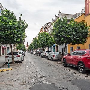 Alohamundi Castilla V-Vi