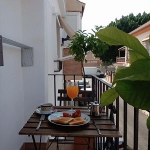 Oasis En La Ciudad