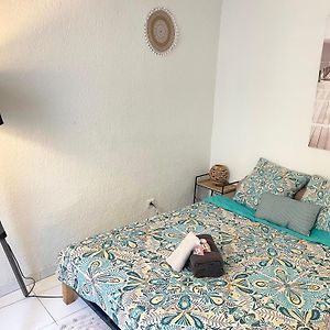 Appartement Des Remparts De Carcassonne