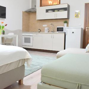 Prague City Centre Apartment