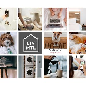 Plateau Liv MTL