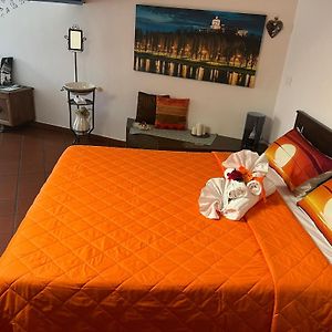 Historic Center Via Po Apartment
