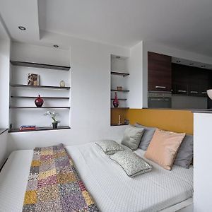 Cozy And Bright-City Center-Zgod13