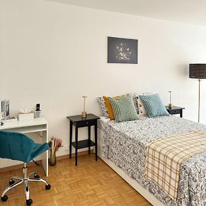 Modernite Et Confort A Geneve