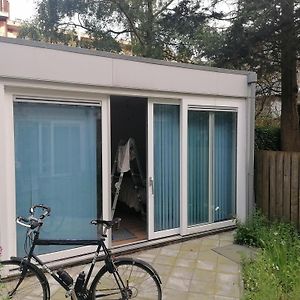 Garden House In Amsterdam