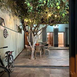 Tirana Lemon Breeze Hostel