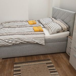 Appartement Classique à 1 Chambre à Coucher