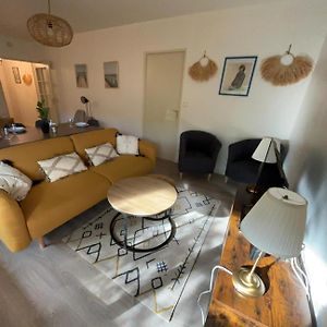 Appartement En Centre Ville Avec Cour Face Au Parc Pasteur