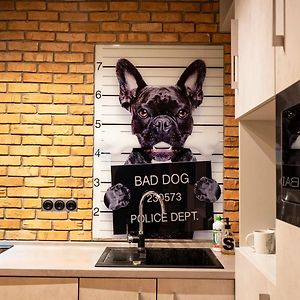 Appartement Studio