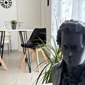 Appartement calme,lumineux ,coeur culturel deTOURS