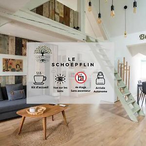 Strasbourg hyper centre, superbe appartement