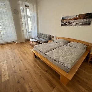 Palackeho Apartment