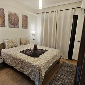 Bitty Apartment