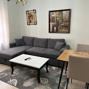 Cozy Flat In The City Center