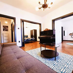 Central Old Town Exclusive - The Musician