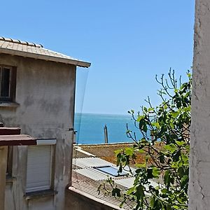 Maison 1 Chambre