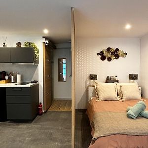 Studio Moderne Et Cosy - Grand Rex