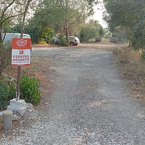 Mas Palegry côté jardin