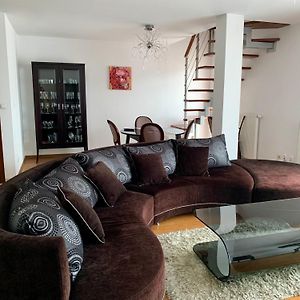 Apartament Pychowicka 18