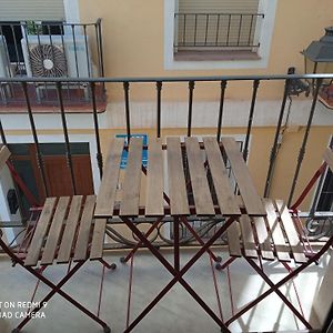 Apartamentos Simba