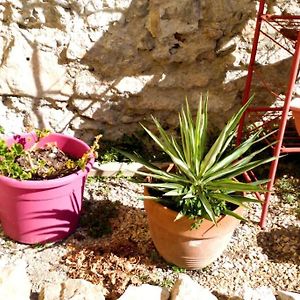 Le Loft Cosy - Centre Ville - Cadre Royal