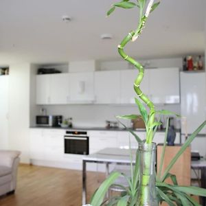 Appartement à 2 Chambres à Coucher