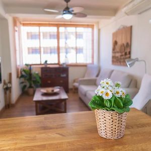 Appartement à 3 Chambres à Coucher