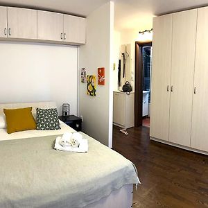 Studio Victoriei - Central Location With Ac