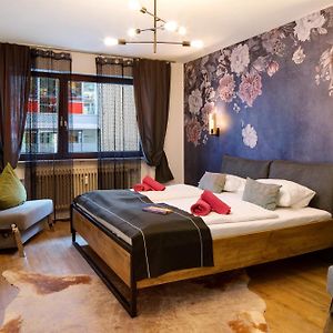 Appartement Supérieur à 1 Chambre à Coucher