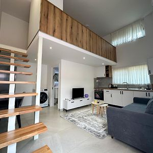 Home Select Tirana 2