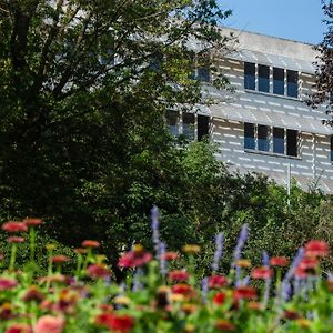 Moricz Student Living