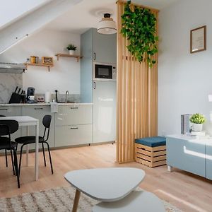 Suite Sous Velux T2