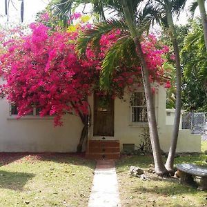 Private Guest House In The Heart Of Miami! Surrounded By Miami'S Hot Spots!