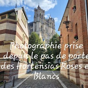 Les Hortensias Roses Duplex