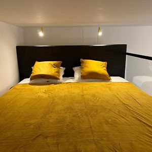 Designer Downtown Apartment