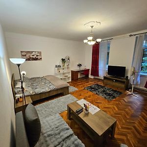 Pet Friendly 2Bdr Apartment