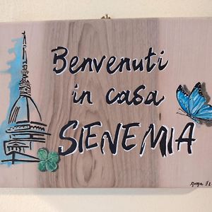 Sienemia