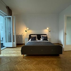 Airy & Beautiful Downtown Apartment