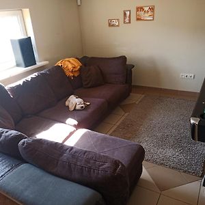 Vilnius Cat Friendly