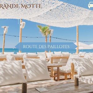 041 - Studio Le Chateau D'O, Appart 4Pers, Parking, Proche Faculte De Medecine
