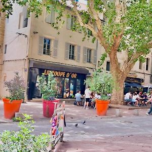 Avignon hyper-centre piéton, rénové à neuf, charmant